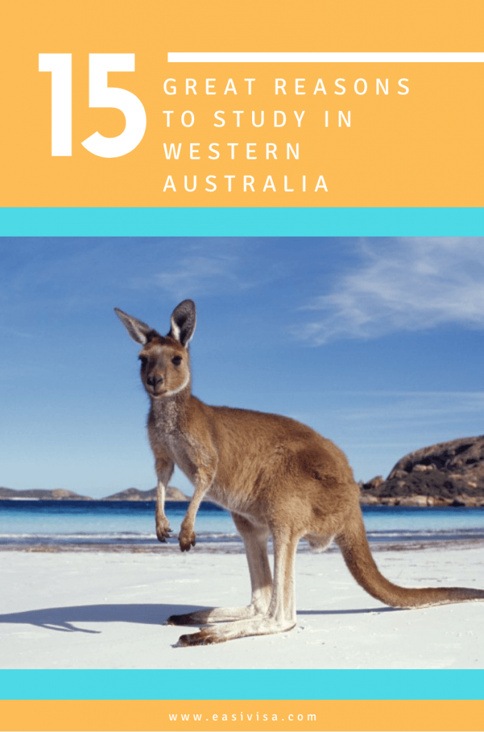 Image for 15 reasons to get a Student Visa in Western Australia blog