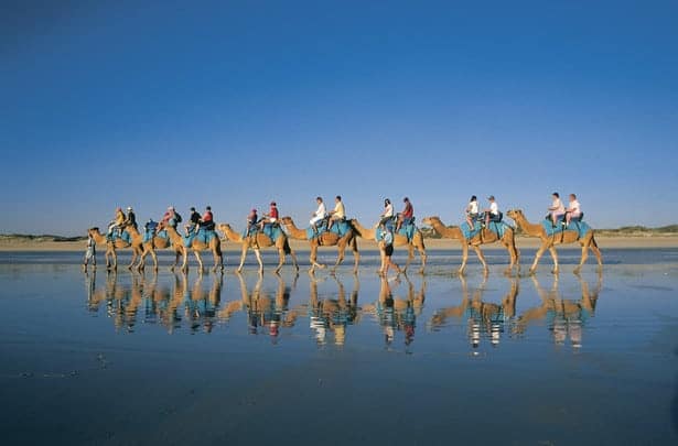 Late afternoon camel ride on Cable Beach, Broome