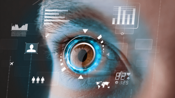 Biometrics iris recognition brown eye